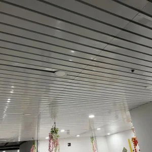 The Architectural Linear ceiling