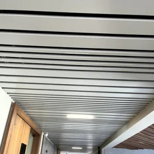 Multi U Shape Baffle Ceiling