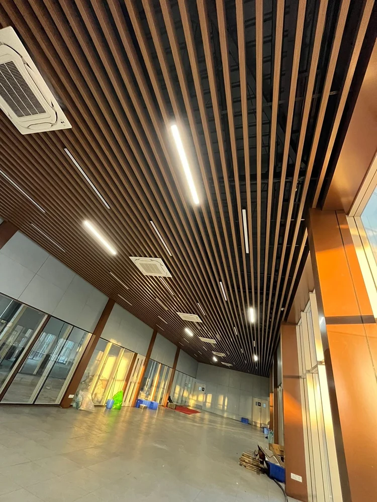 Baffle Ceiling for Offices / Airports / Malls - Image 5