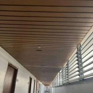 Baffle Ceiling System