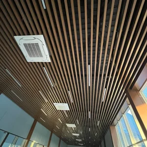 Baffle Metal False Ceiling