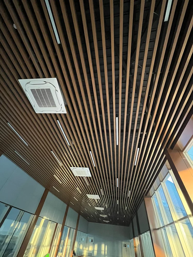 Baffle Metal False Ceiling