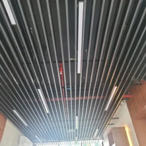 Colored Aluminium Linear Ceiling