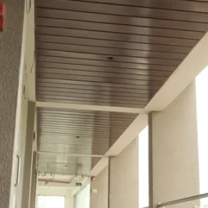 Linear C Series Ceiling