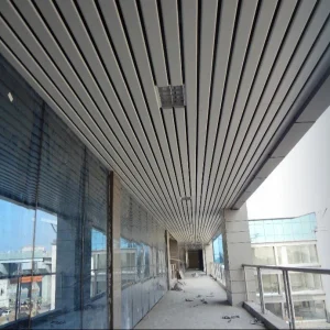 Linear R Series Ceiling