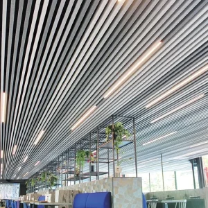 Metal Linear Ceilings