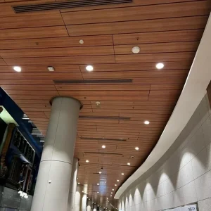 Minimalist Linear Ceilings