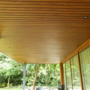 Seamless Linear ceiling