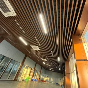Modern Baffle Ceiling