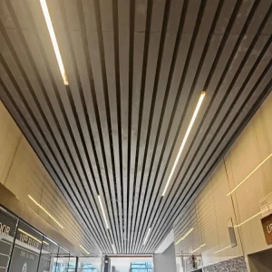 Powder Coated Ceiling Panels