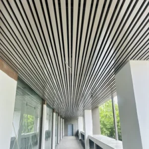 Steel Baffle Ceiling