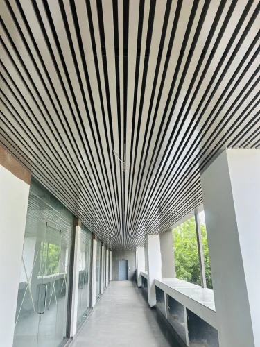 Steel Baffle Ceiling