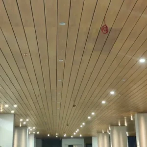 Hall Wooden False Ceiling