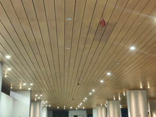 Hall Wooden False Ceiling